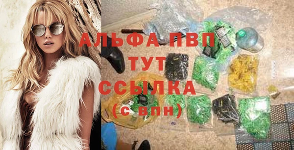 стафф Баксан