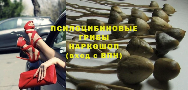 стафф Баксан